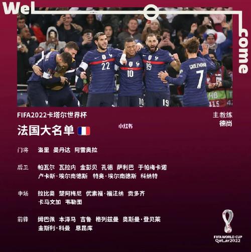 法国足球队世界排名第几
