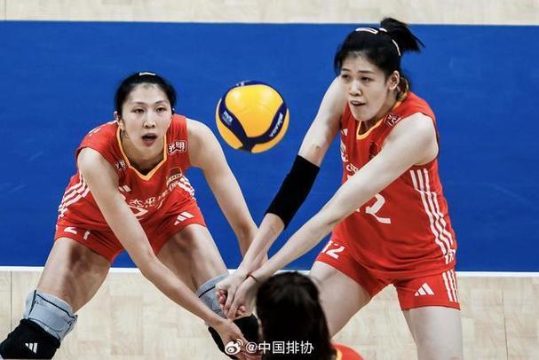 中国排球在线的相关图片